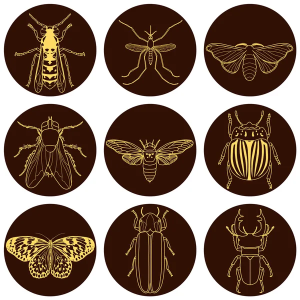 Conjunto de iconos de insectos. Cicada y escarabajo ciervo, luciérnaga y avispa, mariposa mosca y papirola, escarabajo colorado y mosquito , — Vector de stock
