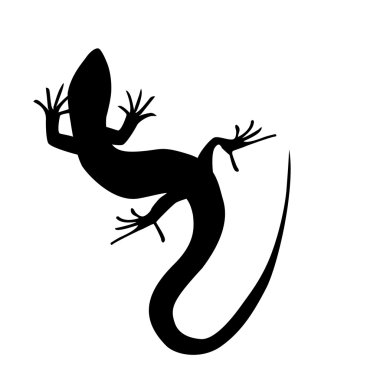 Beautiful monochrome lizard, lizard silhouette illustra