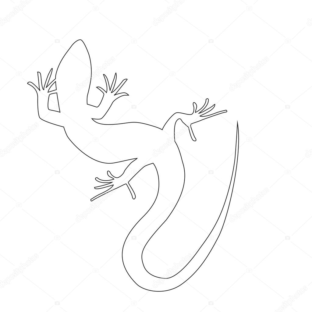 Beautiful  monochrome lizard, lizard silhouette. Vector illustra