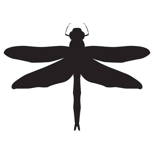 Zwart-wit afbeelding van een libel. Dragonfly geïsoleerd op witte achtergrond — Stockvector