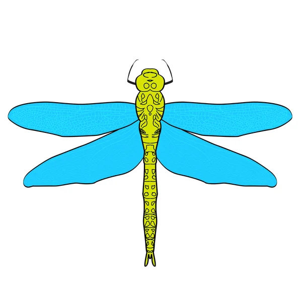 Abstract ontwerp dragonfly — Stockvector