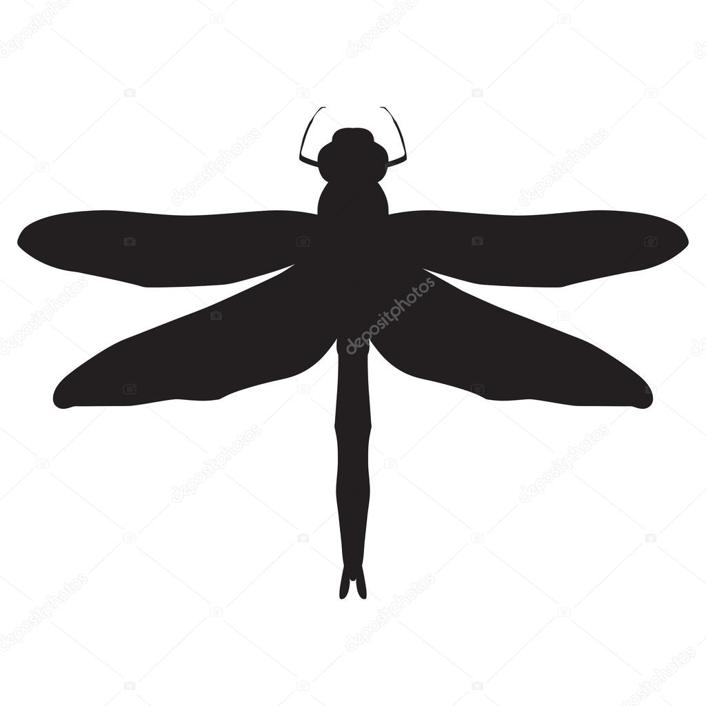 black and white  illustration of a dragonfly. Dragonfly isolated on white background