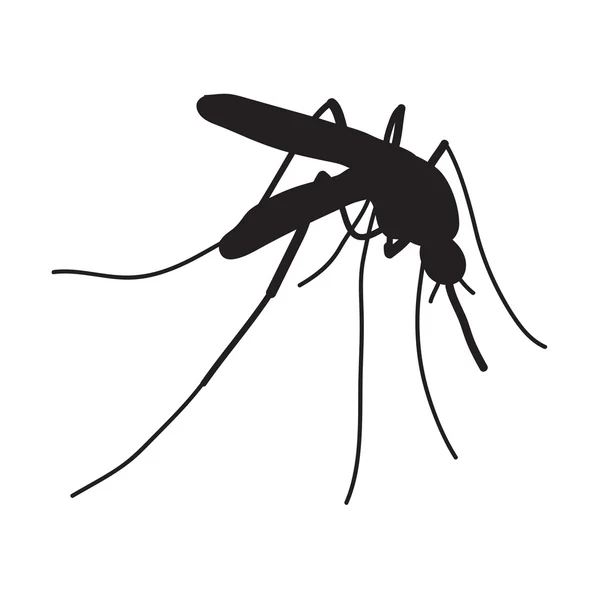 Mosquito. un mosquito realista . — Vector de stock