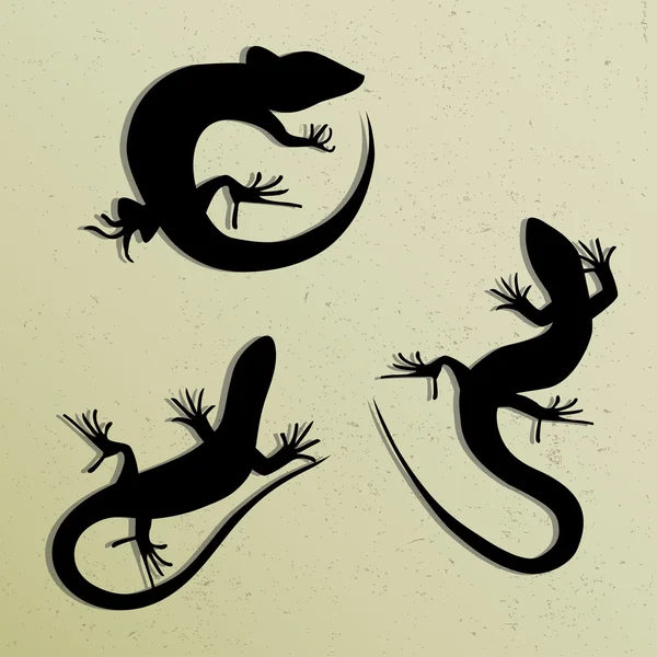 Conjunto de belo lagarto monocromático, silhuetas de lagarto. Silhuetas de salamandra. Gecko Silhouettes . —  Vetores de Stock