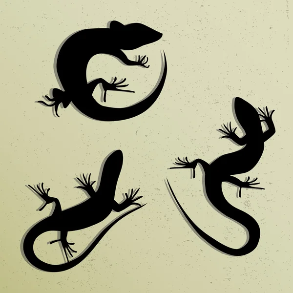Güzel tek renkli kertenkele, kertenkele siluetleri kümesi. Salamandra siluetleri. Gecko Silhouettes.