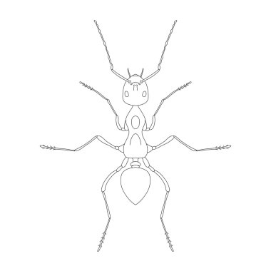 Formica exsecta. Kroki karınca. Beyaz arka plan üzerinde izole karınca. Boyama kitabı için ant tasarım.