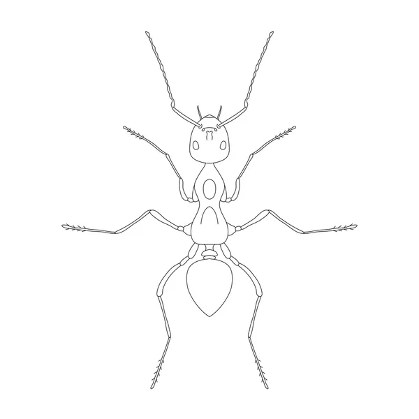 Formica exsecta입니다. 개미의 밑그림입니다. 흰색 배경에 고립 된 개미입니다. 도 서 색칠 개미 디자인. — 스톡 벡터