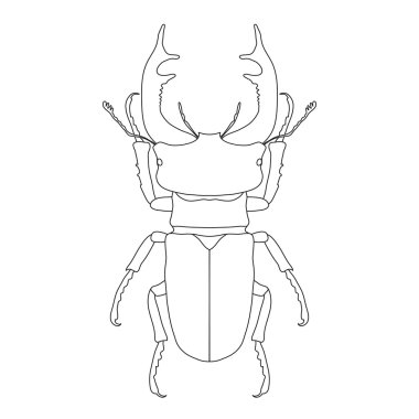 geyik böceği. Lucanus cervus. Geyik böceği taslağını. Bekarlığa veda partisi-beetleisolated beyaz arka plan üzerinde.