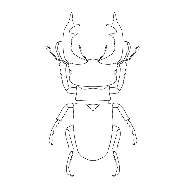 Besouro de veado. Lucanus chalus. Esboço de escaravelho. escaravelho-veado isolado sobre fundo branco . — Vetor de Stock