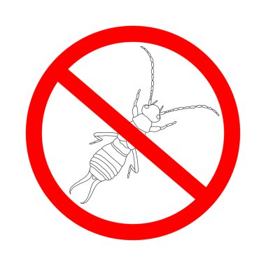 yasak işareti Forficula auricularia. Kulağakaçan. Kulağakaçan taslağını. Beyaz arka plan üzerinde izole kulağakaçan.