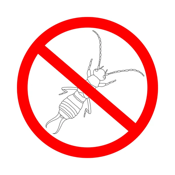 Señal de prohibición Forficula auricularia. Earwig. Boceto de Earwig. Earwig aislado sobre fondo blanco . — Vector de stock
