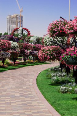 Nisan 2015. Birçok çiçek ile Park sokak. BAE Dubai mucize Bahçe.