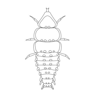 Trilobite böceği Duliticola Platerodrilus. Kroki Trilobite böcek. İzole beyaz zemin üzerine trilobite böceği.