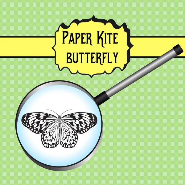 La idea de la mariposa Leuconoe. Paper Kite. Sketch of Butterfly. Mariposa en lupa — Vector de stock