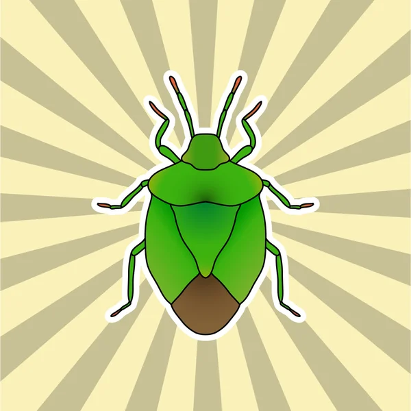 Insect sticker. schild insect. Palomena prasina. Schets van schild bug. schild bug ontwerp voor kleuren boek. — Stockvector