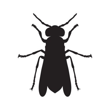 Wasp. Wasp taslağını. Beyaz arka plan üzerinde izole Wasp. Yaban arısı Tasarım boyama kitabı için. çizilmiş Wasp.