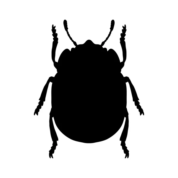 Colorado escarabajo de la patata. Leptinotarsa decemlineata. Esbozo de coleóptero de patata colorado. escarabajo colorado aislado . — Archivo Imágenes Vectoriales