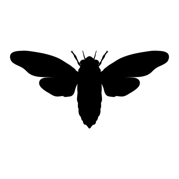 Silhouette Cikada. Cicadidae. Skiss av cikador. Cicada isolerad på vit bakgrund. Cicada — Stock vektor