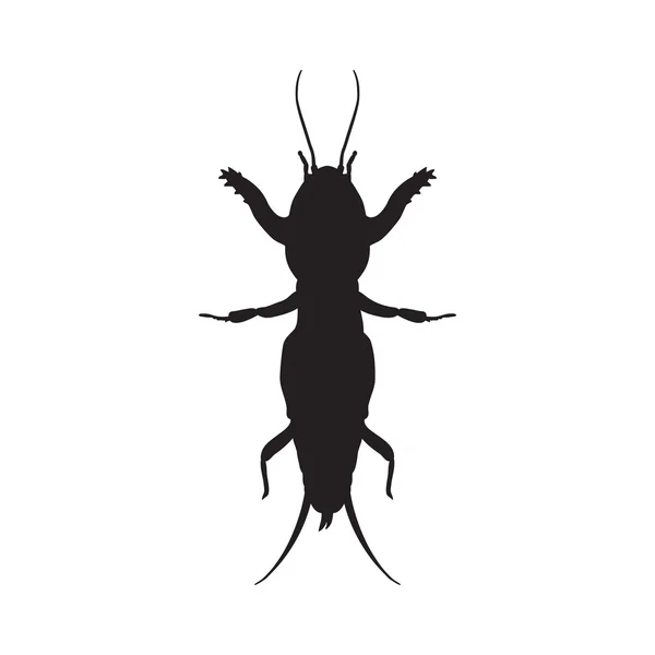 Gryllotalpidae silhouette.European mole cricket. gryllotalpa. Boceto del grillo topo topo grillo aislado sobre fondo blanco — Archivo Imágenes Vectoriales