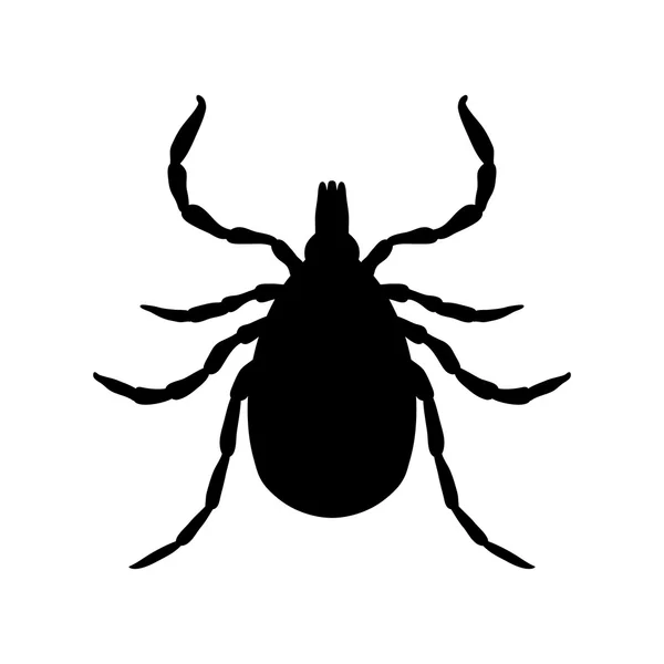 Tick parasite. Sketch of Tick. Mite. Tick isolated on white background. Tick Design for coloring book. — Stock Vector