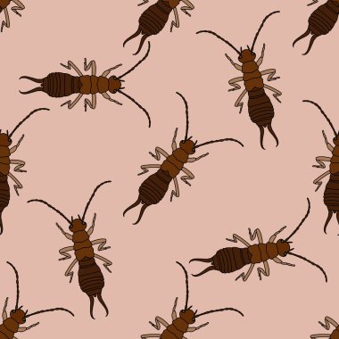 Kulağakaçan ile Seamless modeli. Forficula auricularia. Kulağakaçan çizilmiş. Vektör