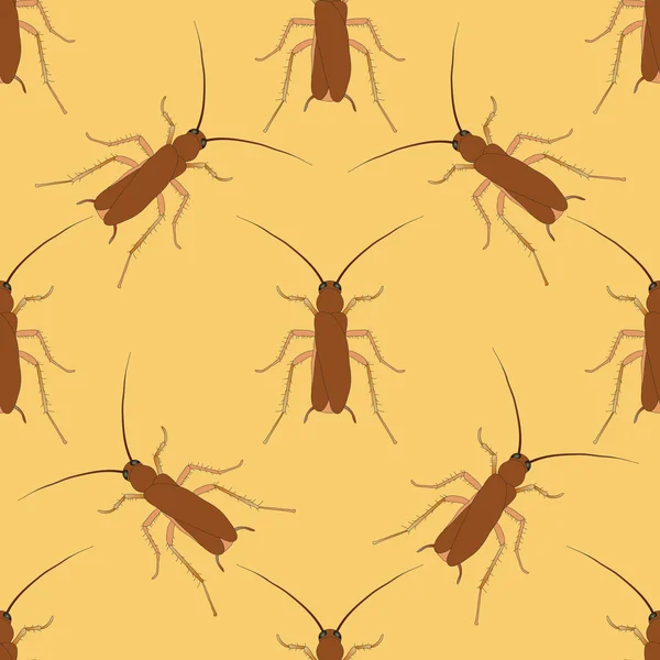 Patrón sin costuras con cucaracha. Blattella germanica cucaracha dibujada a mano. Vector — Archivo Imágenes Vectoriales