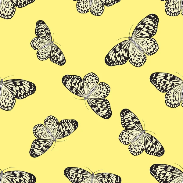 Seamless pattern with butterfly Idea Leuconoe. Paper Kite .    hand-drawn paperkite butterfly . Vector