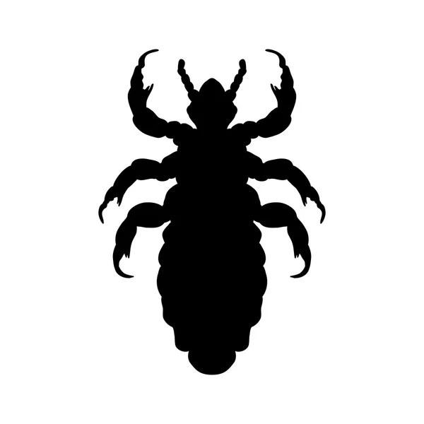 Silhouette del pidocchio umano capo. Pediculus humanus capitis. pidocchio silhouette isolato su sfondo bianco. Pidocchio. Vettore — Vettoriale Stock