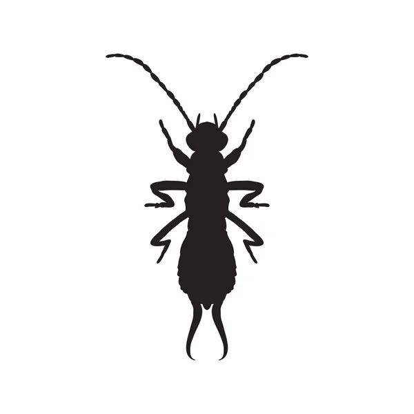 Silhouette Forficula auricularia. Earwig silhouette. Sketch of Earwig. Earwig silhouette isolated on white background.  hand-drawn  Earwig silhouette. Vector — Stock Vector