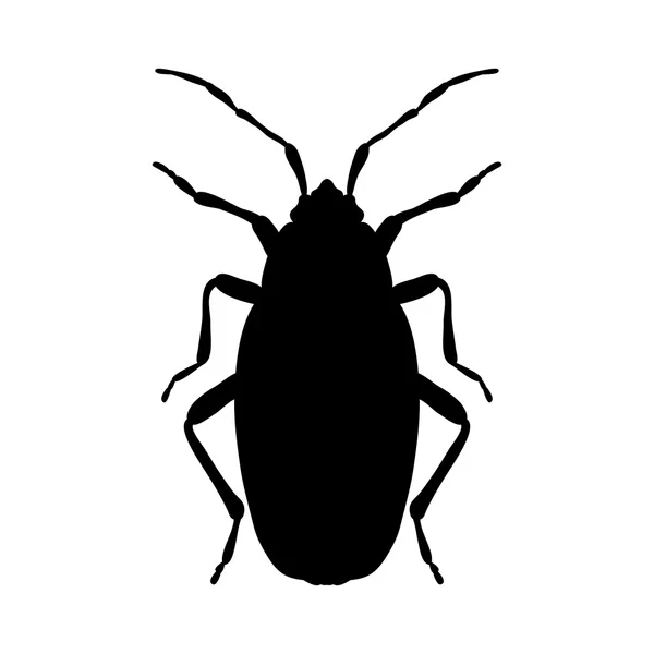 Silhouette Pyrrhocoris apterus. silhouette de scarabée. Silhouette de bug-soldat. Silhouette Firebug. Silhouette Firebug isolée sur fond blanc. silhouette de scarabée dessinée à la main. Vecteur — Image vectorielle