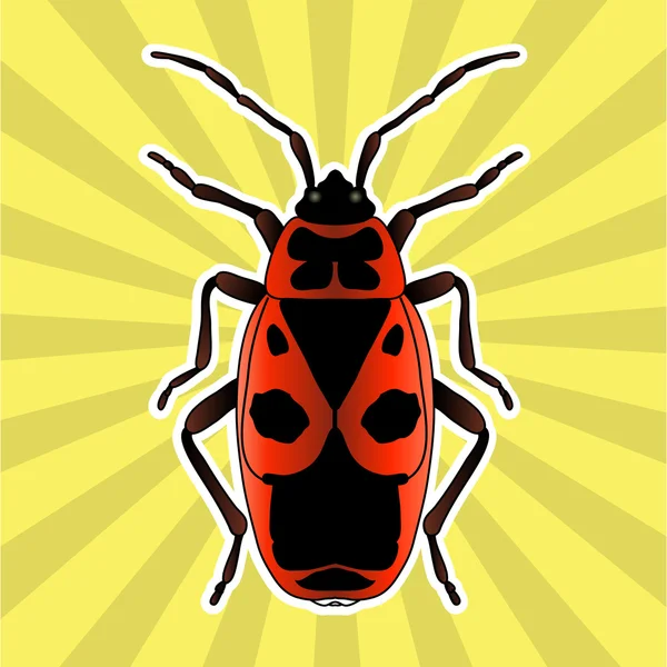 Insect anatomie. Sticker Pyrrhocoris apterus. kever. Bug-soldaat. Firebug. Schets van kever. kever ontwerp voor kleuren boek. handgetekende kever. Vector — Stockvector
