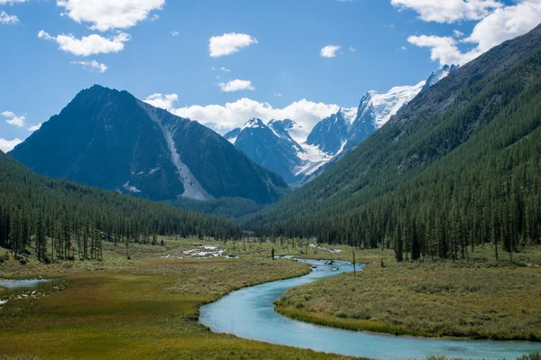 Sulle montagne di Altai — Foto Stock