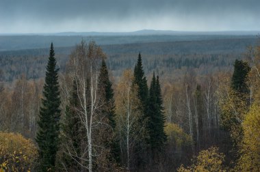 Bir dağın tepesinde