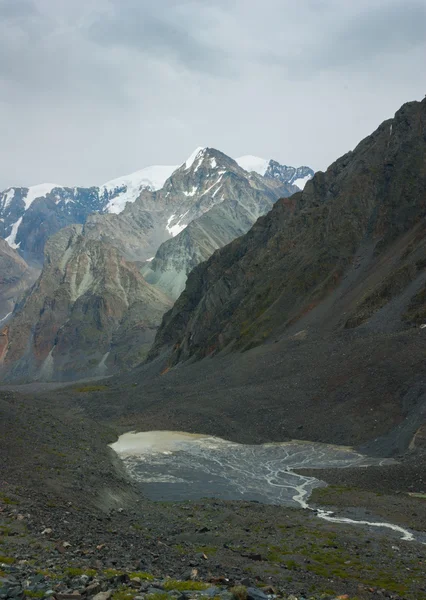 In Altai mountains — Stock Photo, Image