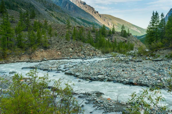 Fiume di montagna — Foto Stock