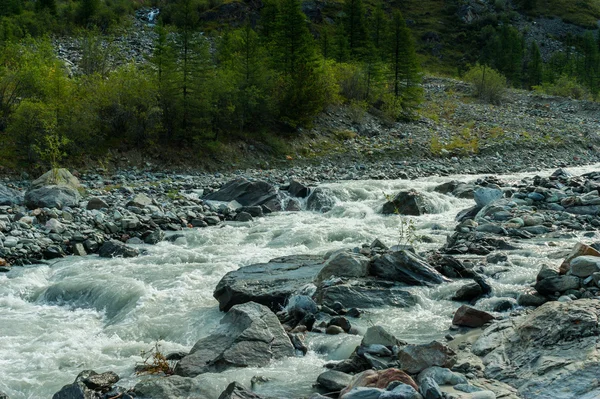 Rapide nel fiume di montagna — Foto Stock