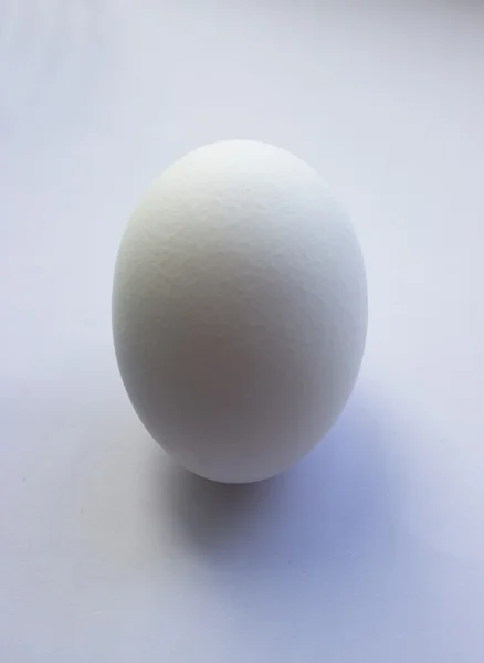 Um objeto de ovo branco sobre um fundo branco isolado — Fotografia de Stock