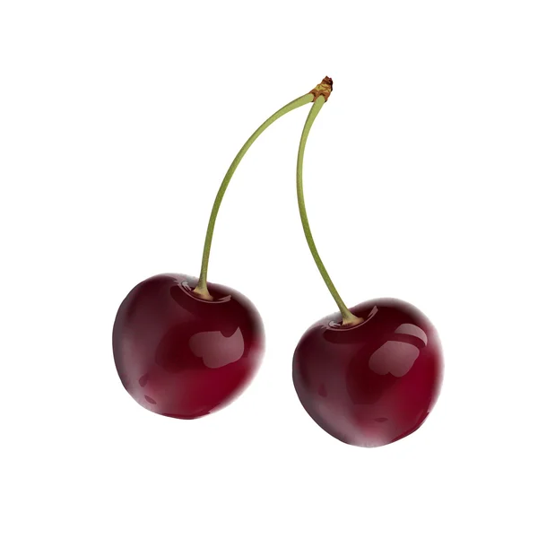 Dos cerezas rojas brillantes aisladas sobre fondo blanco — Vector de stock