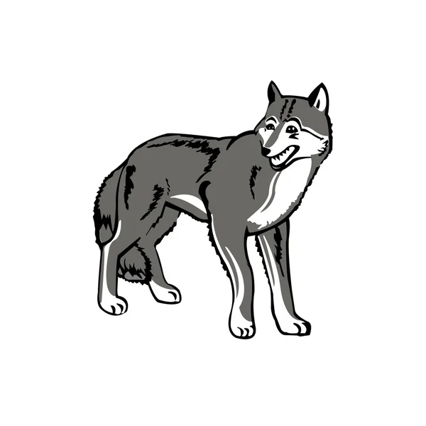 Aislado sobre fondo blanco un lobo gris — Archivo Imágenes Vectoriales