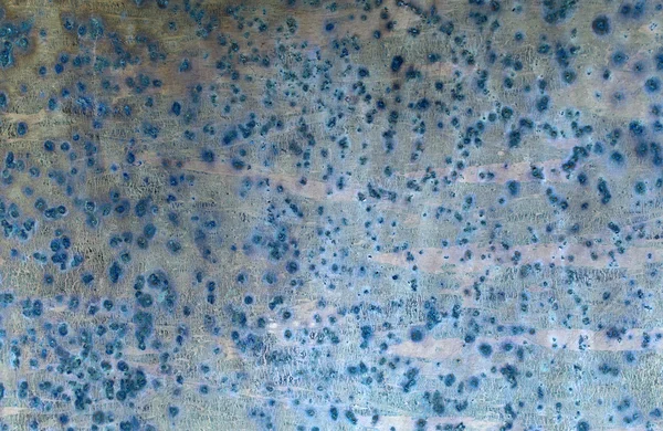Μπλε φόντο τραχύ παλιά ξεφλούδισμα γύψος τοίχο φορώντας — Φωτογραφία Αρχείου