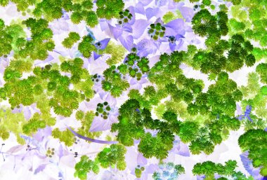 arka plan çiçekler mor yeşil yaşam soyut