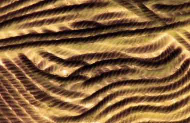 arka plan bükümlü pamuk iplikler kahverengi