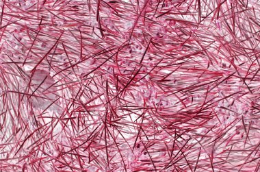 öğelerinin arka plan kırmızı lif katmanları