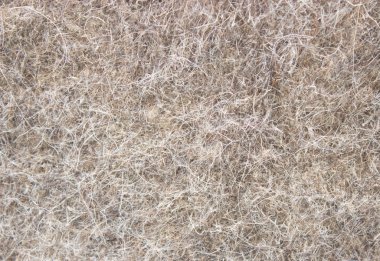 arka plan gri kahverengi tüylü kazık hissettim