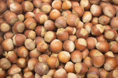 arka plan büyük fındık kahverengi katı çekirdek