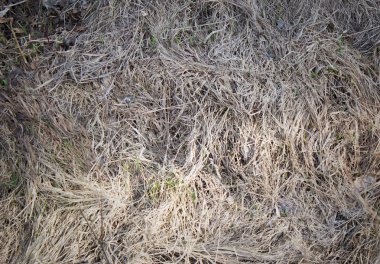 arka plan keçe elyaf gri kahverengi yapılan