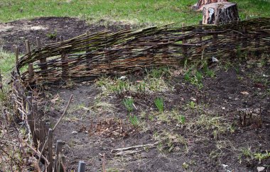 doğal arka plan şube eski çit ahşap 