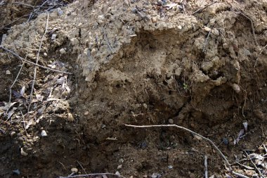 güzel doğa arka plan gevşek toprak