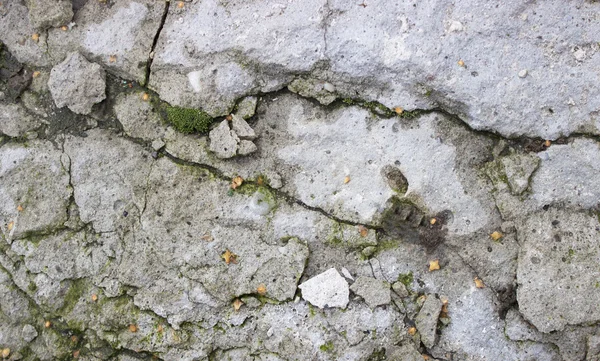 Pedra áspera fundo concreto parede musgo — Fotografia de Stock