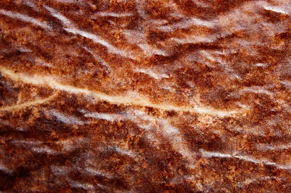 배경 다공성 느슨한 반죽 구운 갈색 — 스톡 사진